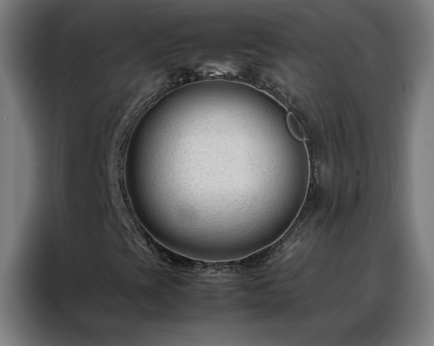 X0000088171393200705221612