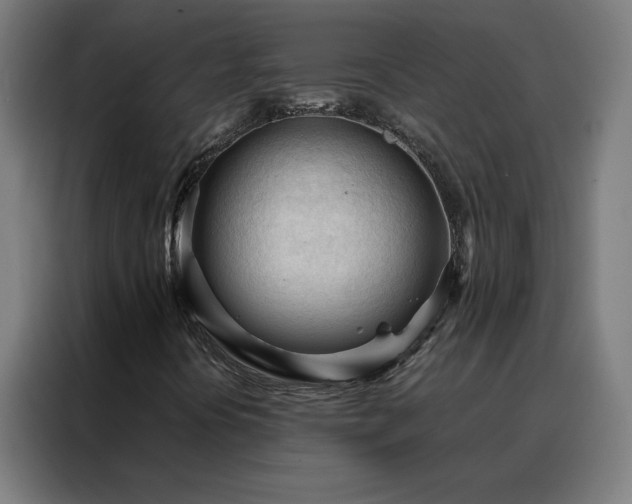 X0000088171394200705221612