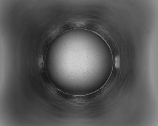 X0000088171395200705221612