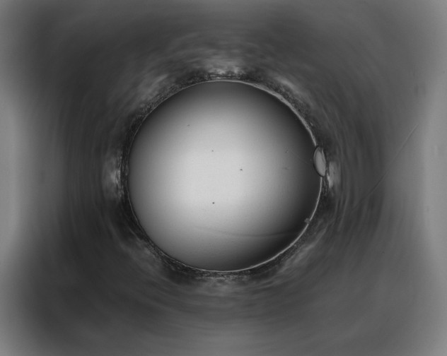 X0000088171396200705221612