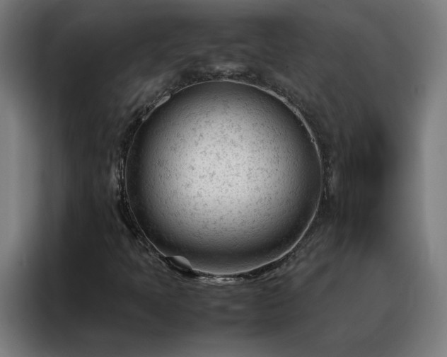 X0000088171397200705221612