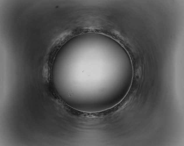 X0000088171398200705221612