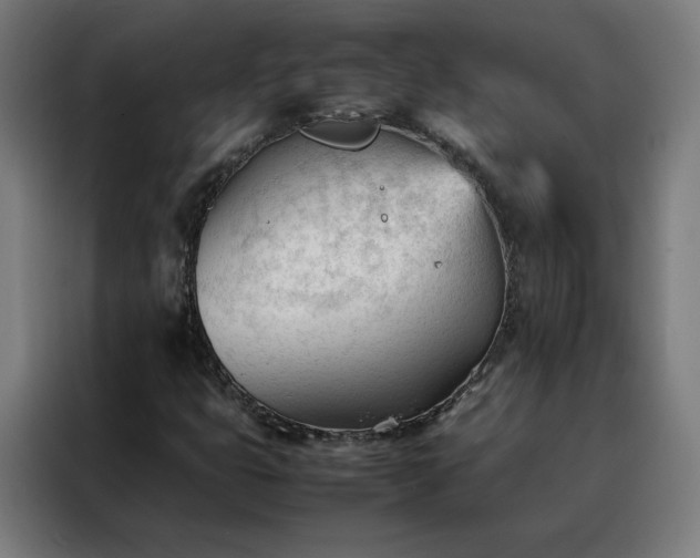 X0000088171399200705221612