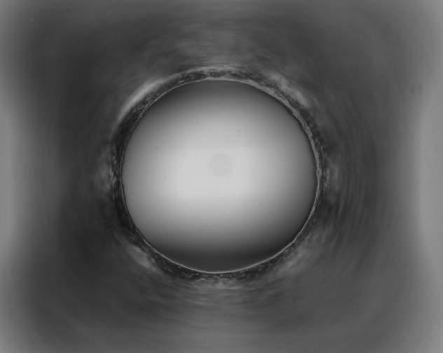 X0000088171400200705221612