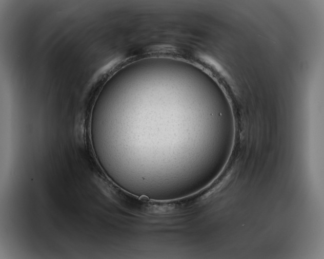 X0000088171403200705221612