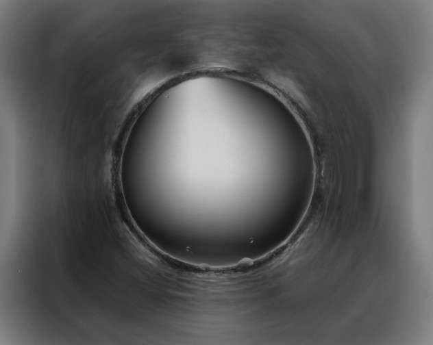 X0000088171404200705221612