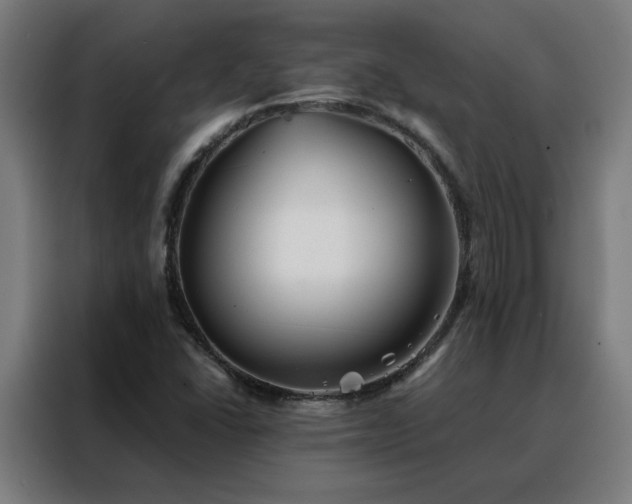 X0000088171406200705221612