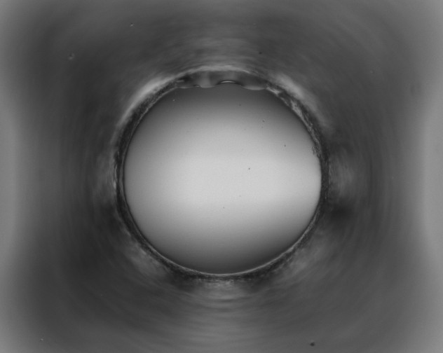 X0000088171408200705221612