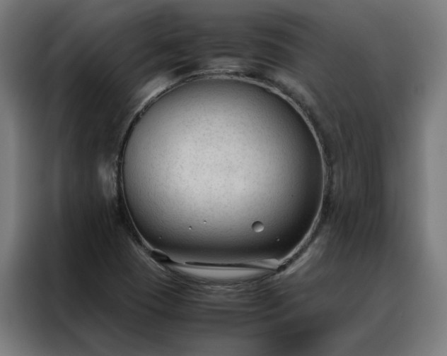 X0000088171409200705221612