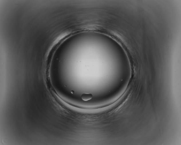 X0000088171410200705221612