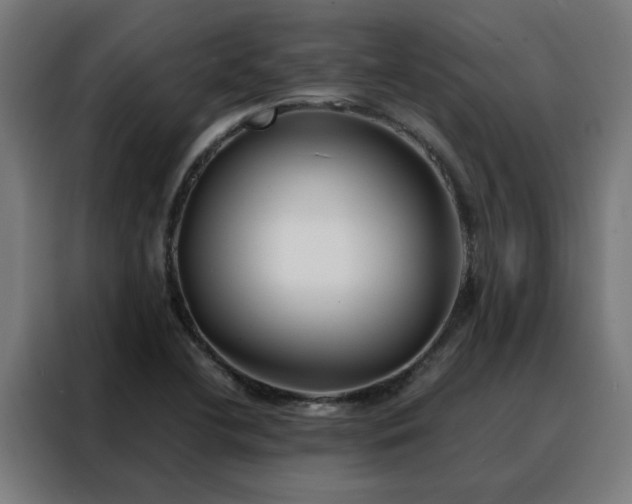 X0000088171412200705221612