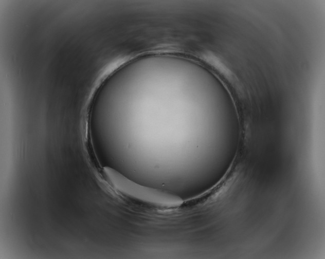 X0000088171413200705221612