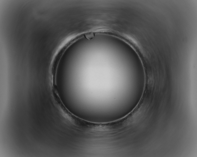 X0000088171414200705221612