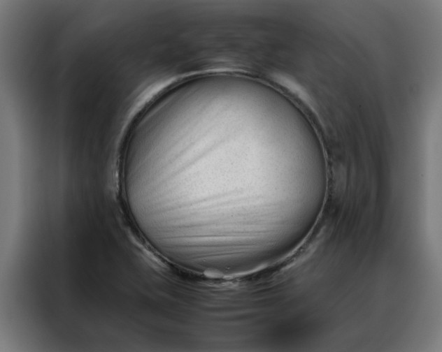 X0000088171415200705221612