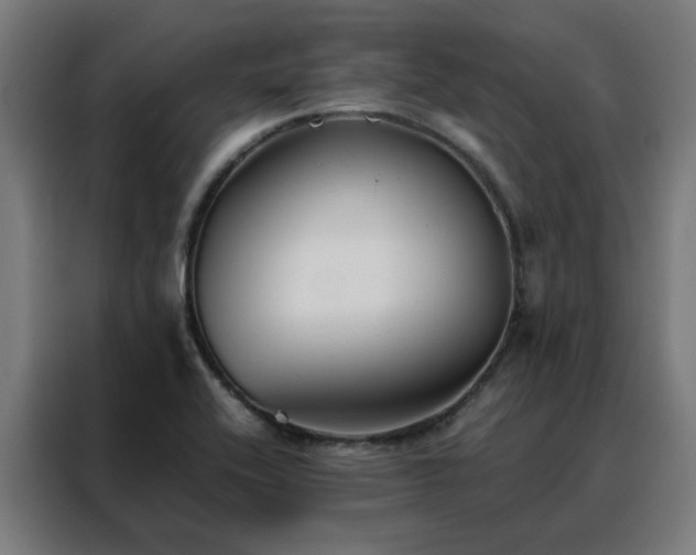 X0000088171416200705221612