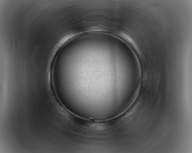 X0000088171419200705221612