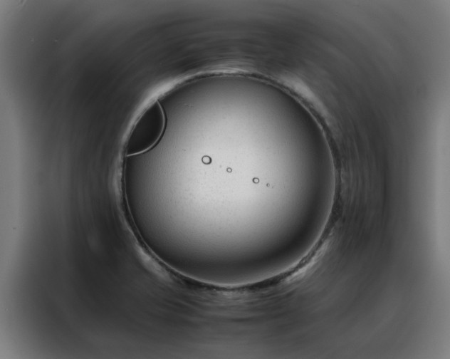 X0000088171421200705221612