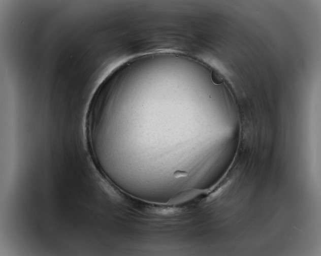 X0000088171423200705221612