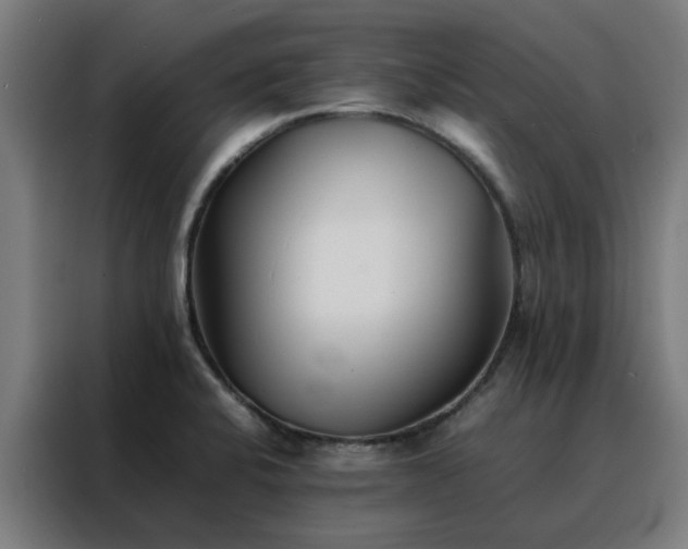 X0000088171424200705221612