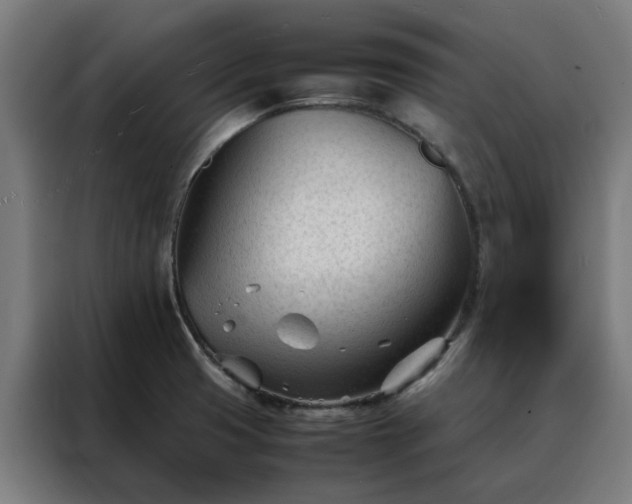 X0000088171425200705221612