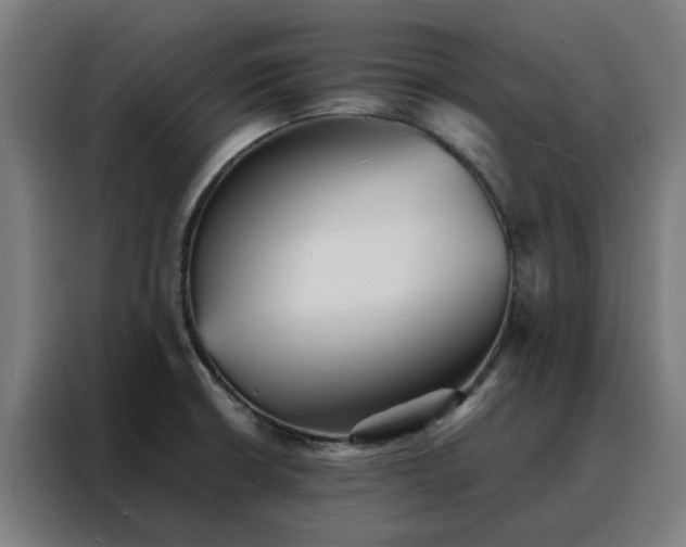 X0000088171426200705221612