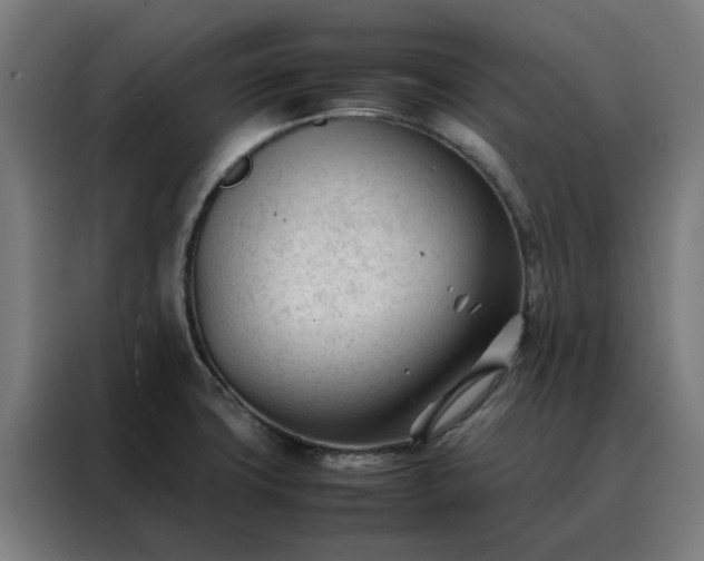 X0000088171427200705221612