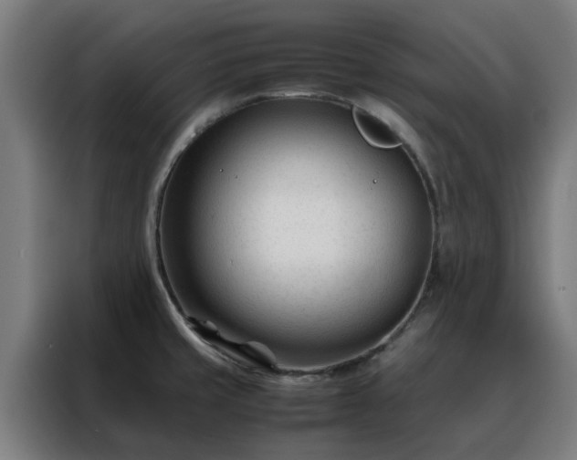 X0000088171429200705221612