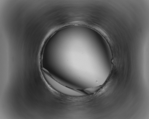 X0000088171430200705221612