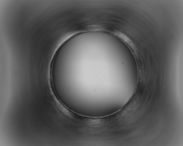 X0000088171431200705221612