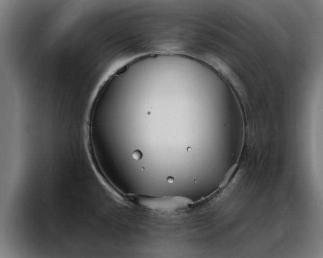 X0000088171432200705221612