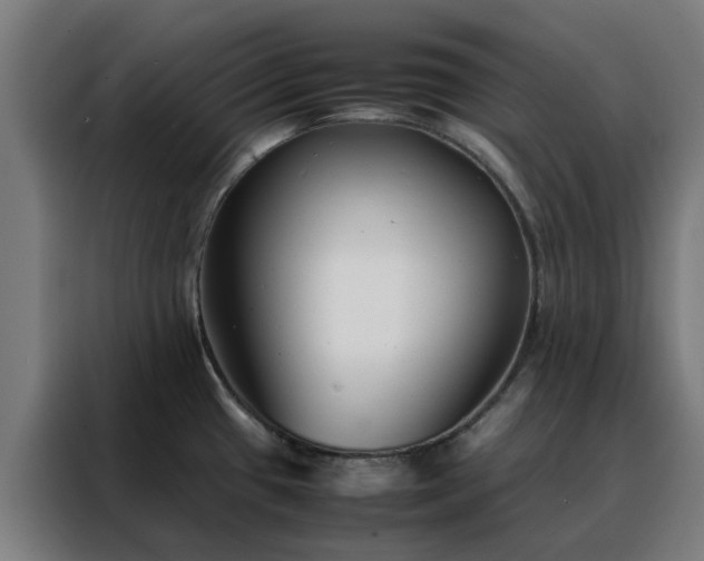 X0000088171433200705221612