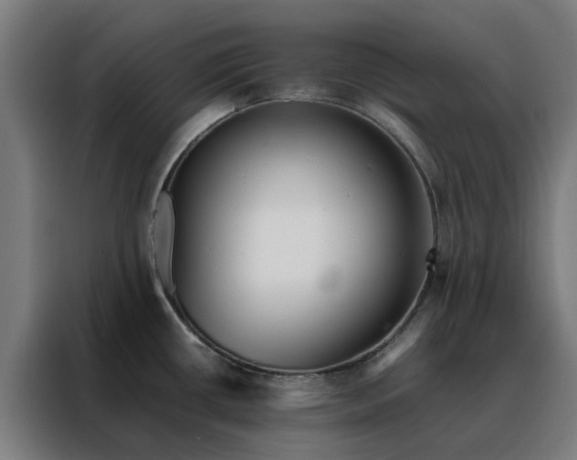 X0000088171434200705221612