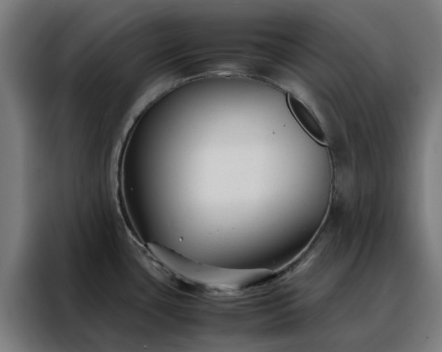 X0000088171435200705221612