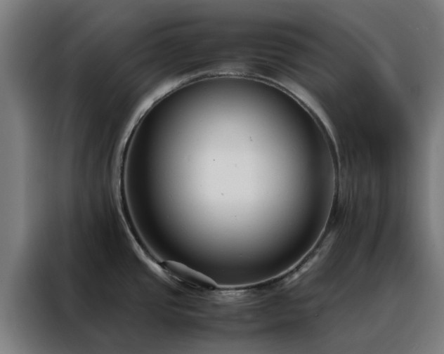 X0000088171437200705221613