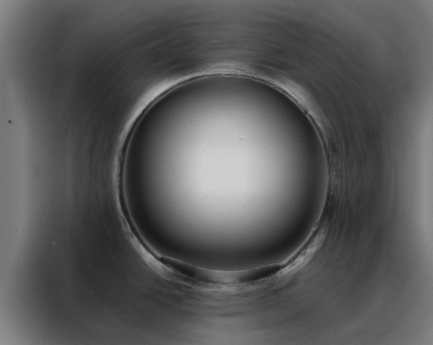 X0000088171438200705221613