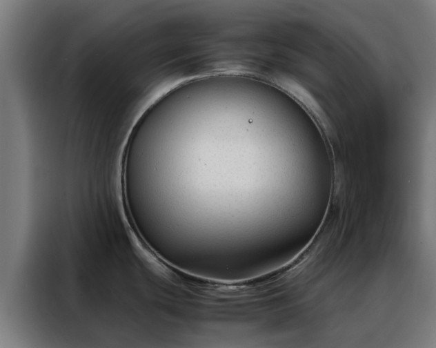 X0000088171439200705221613