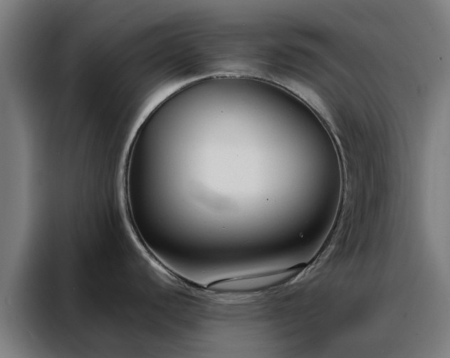 X0000088171440200705221613