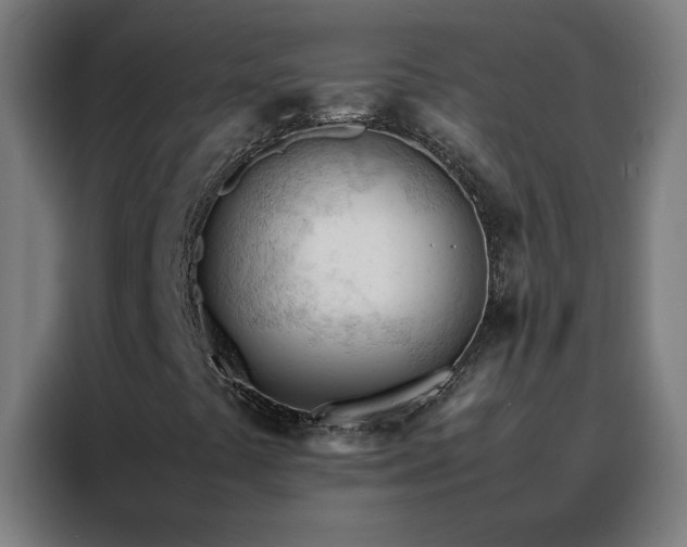 X0000088171441200705221612