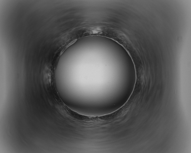 X0000088171442200705221612