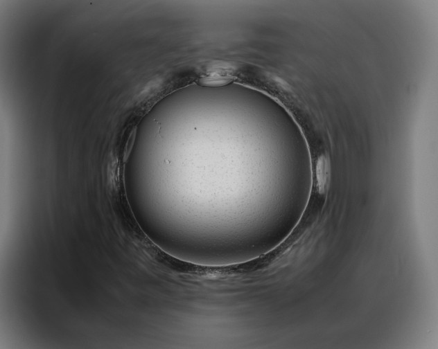 X0000088171443200705221612