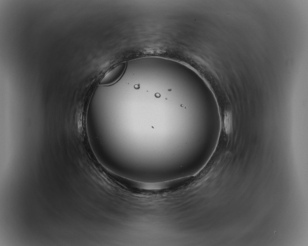 X0000088171444200705221612