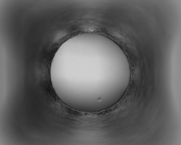 X0000088171446200705221612