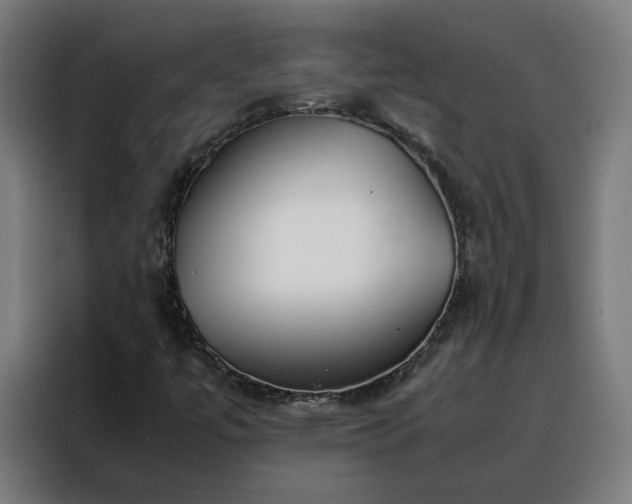 X0000088171447200705221612