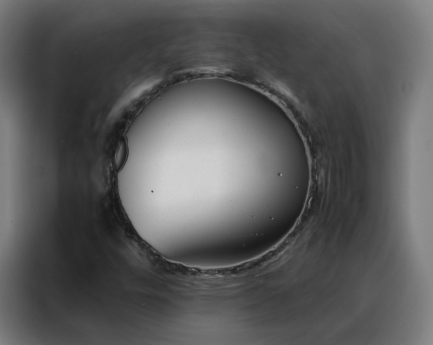 X0000088171448200705221612