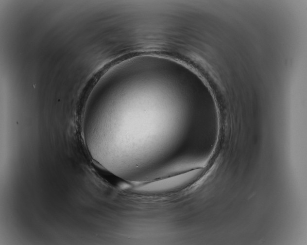 X0000088171449200705221612