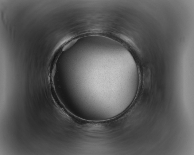 X0000088171450200705221612