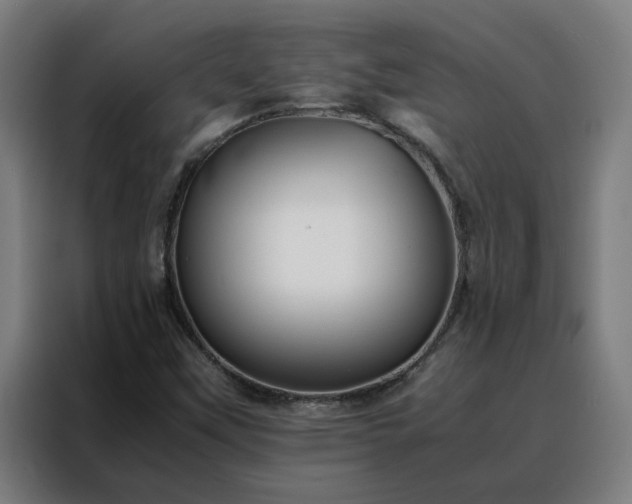 X0000088171451200705221612