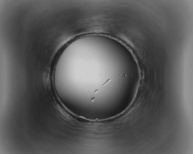 X0000088171452200705221612