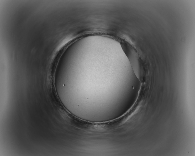 X0000088171453200705221612