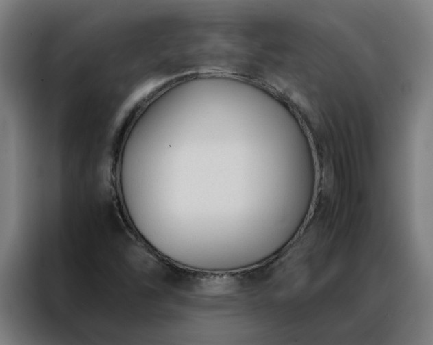 X0000088171454200705221612